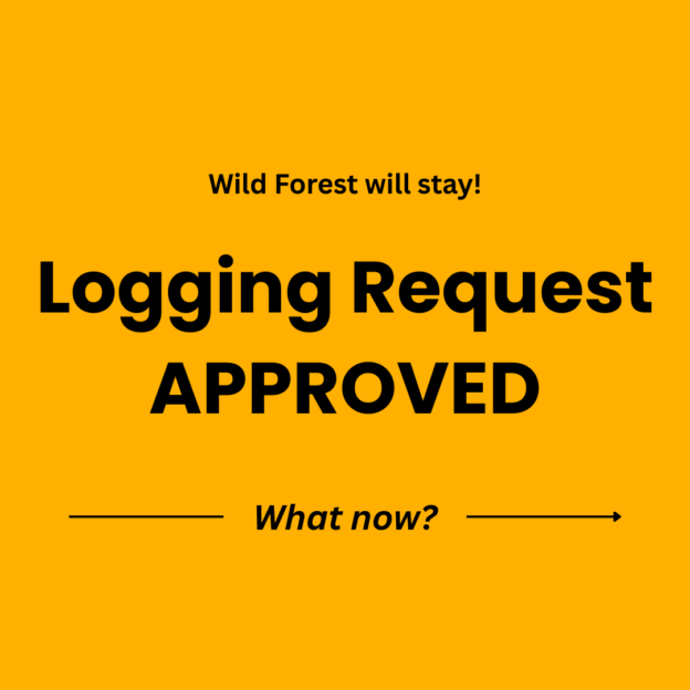 Wild Forest will stay! Logging Request Approved - What now?