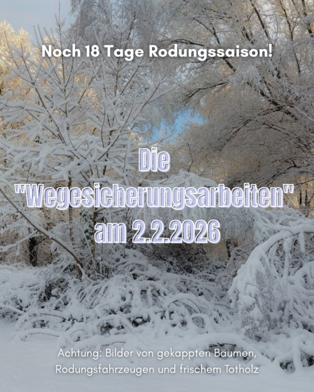 Noch 18 Tage Rodungssaison. Die "Wegesicherungsarbeiten" am 2.2.2026 Achtung: Bilder von gekappten Bäumen, Rodungsfahrzeugen und frischem Totholz